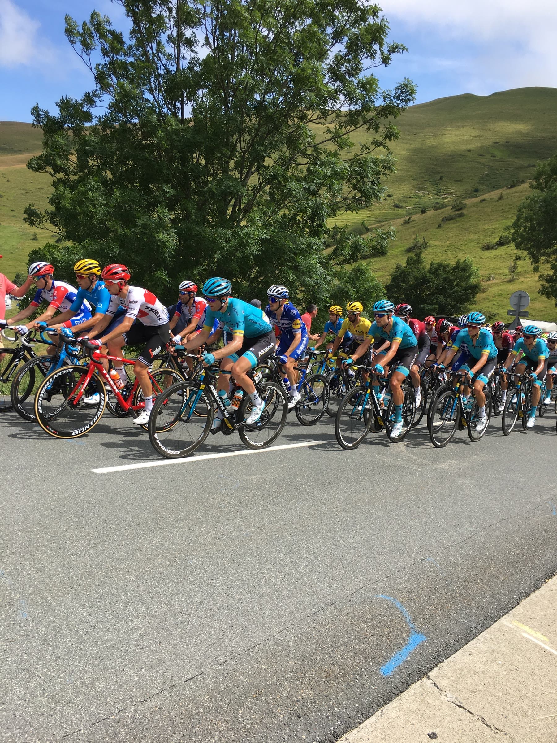 The Tour de France peloton climbing a green Pyrenean mountain pass, seen from the roadside.