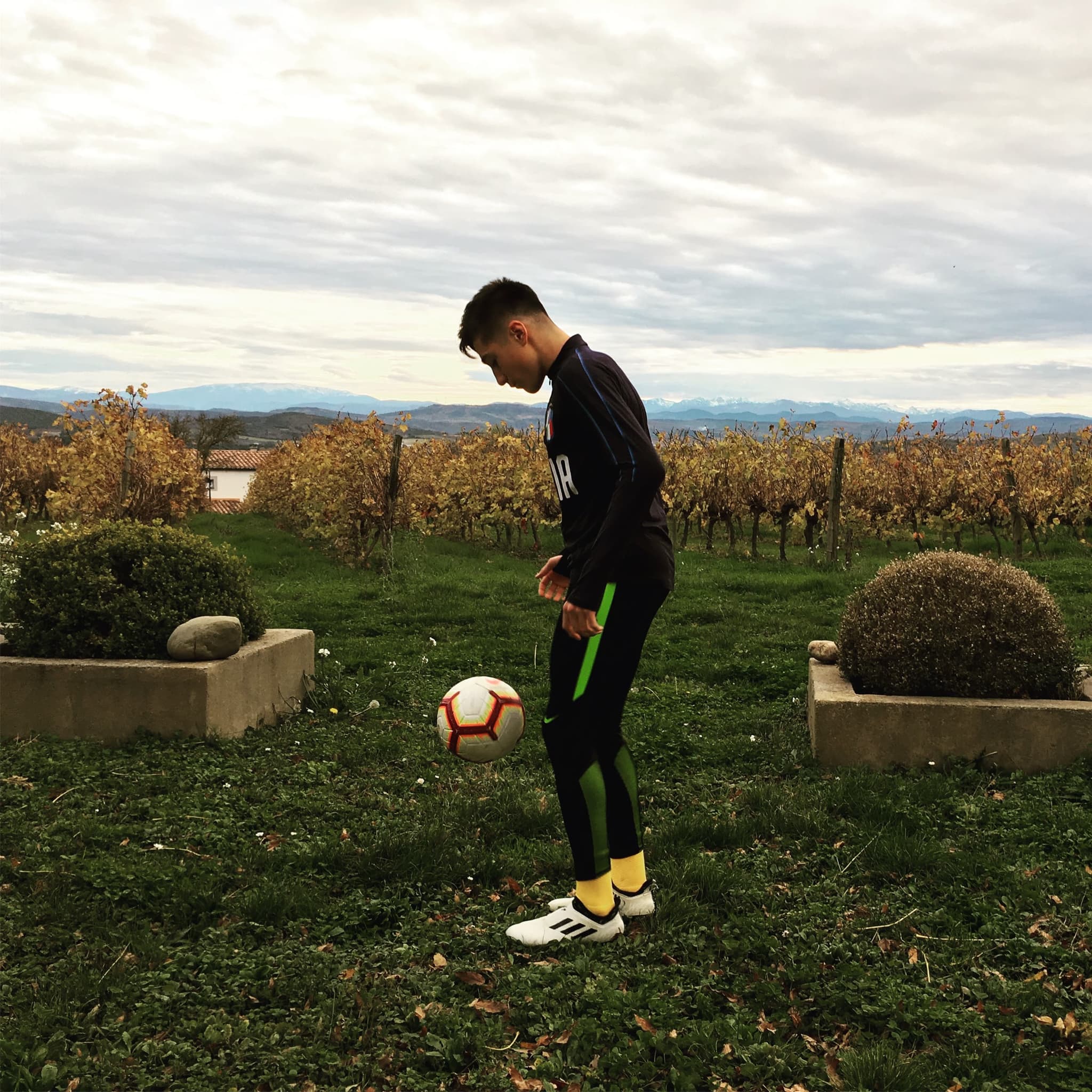 A lone player keeping the ball up in a winter vineyard, the Pyrenees on the horizon.